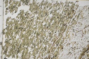 Plane Polarized, S48941