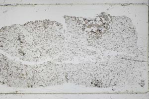 Plane Polarized, S48954