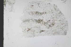 Plane Polarized, S48955