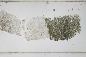 Plane Polarized, S48959