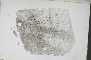 Plane Polarized, S48960