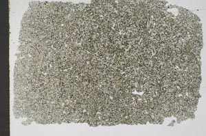 Plane Polarized, S48966