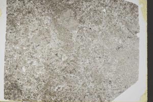 Plane Polarized, S48967