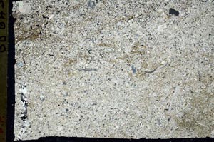 Cross Polarized, S48970