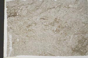 Plane Polarized, S48970