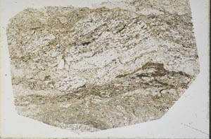 Plane Polarized, S48983