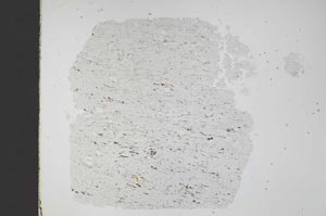 Plane Polarized, S48984
