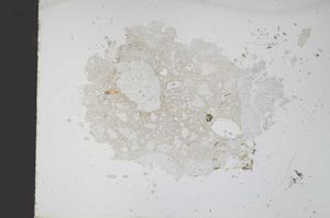 Plane Polarized, S48985