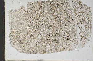 Plane Polarized, S48986