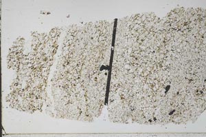 Plane Polarized, S48986/A