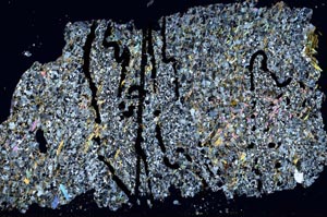 Cross Polarized, S48986/C