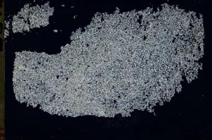 Cross Polarized, S48990