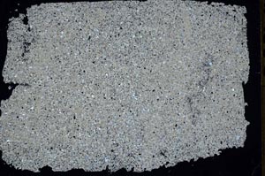 Cross Polarized, S48991