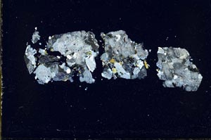 Cross Polarized, S49025