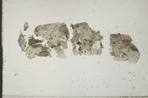 Plane Polarized, S49025