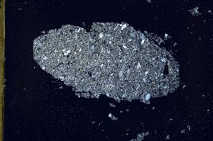 Cross Polarized, S49026