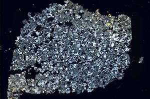 Cross Polarized, S49027