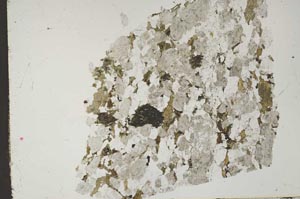 Plane Polarized, S49028