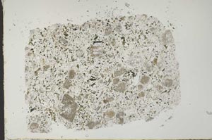 Plane Polarized, S49032
