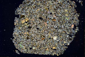 Cross Polarized, S49036