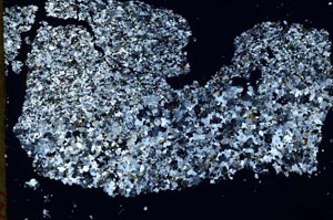 Cross Polarized, S49051