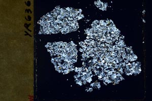 Cross Polarized, S49051/A