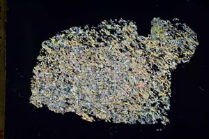 Cross Polarized, S49057