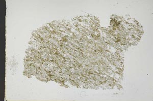 Plane Polarized, S49057