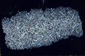 Cross Polarized, S49083