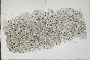 Plane Polarized, S49083