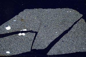 Cross Polarized, S49099