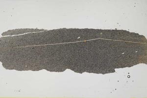 Plane Polarized, S49102