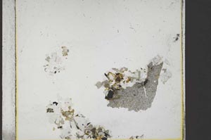 Plane Polarized, S49114
