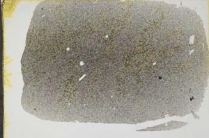Plane Polarized, S49118