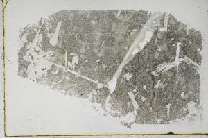 Plane Polarized, S49128