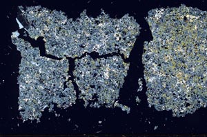Cross Polarized, S49138