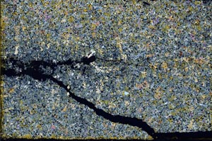 Cross Polarized, S49139