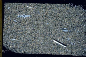 Cross Polarized, S49143