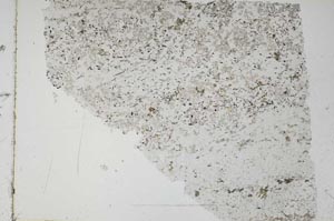 Plane Polarized, S49160