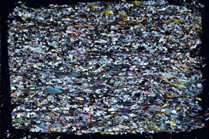 Cross Polarized, S49161