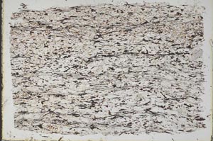 Plane Polarized, S49161