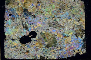 Cross Polarized, S49165