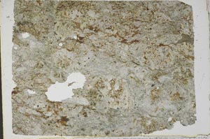 Plane Polarized, S49165