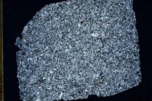 Cross Polarized, S49169