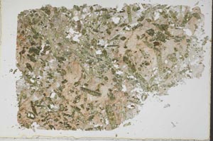 Plane Polarized, S49171
