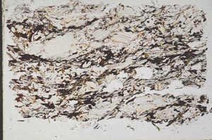 Plane Polarized, S49176