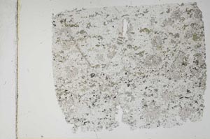 Plane Polarized, S49180