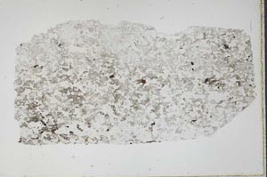 Plane Polarized, S49181