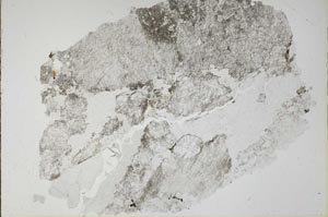 Plane Polarized, S49189
