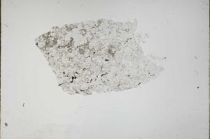 Plane Polarized, S49192